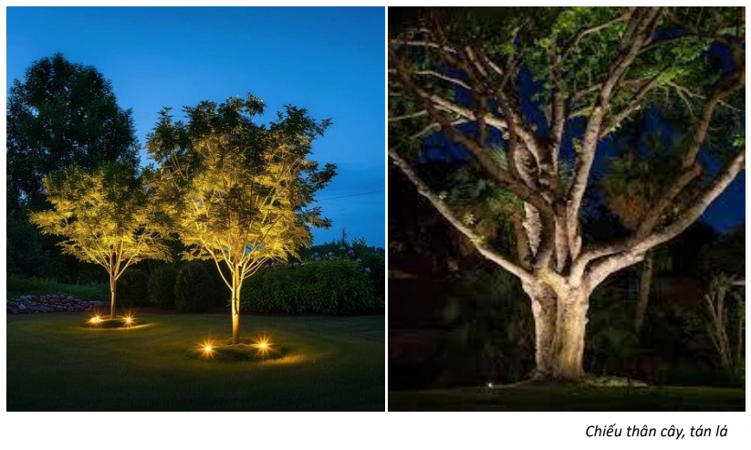 Chieu Sang Canh Quan ELV Lighting 31