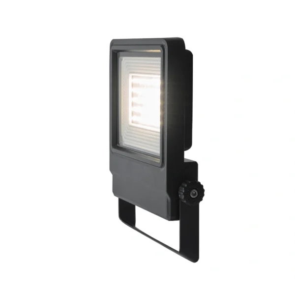 Đèn Led Gắn Tường ELV - VL-FL100 (4)